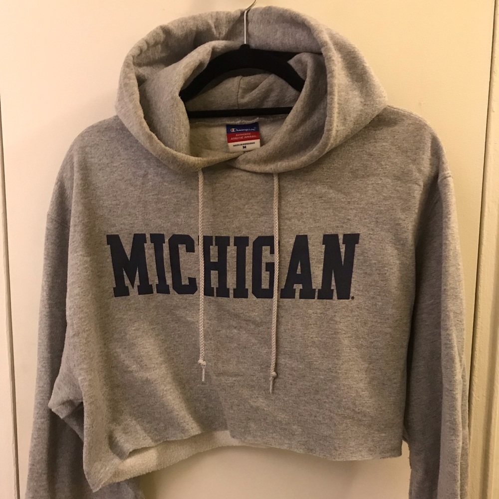 Champion Cropped Michigan hoodie